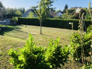 Terrain de 445 m²